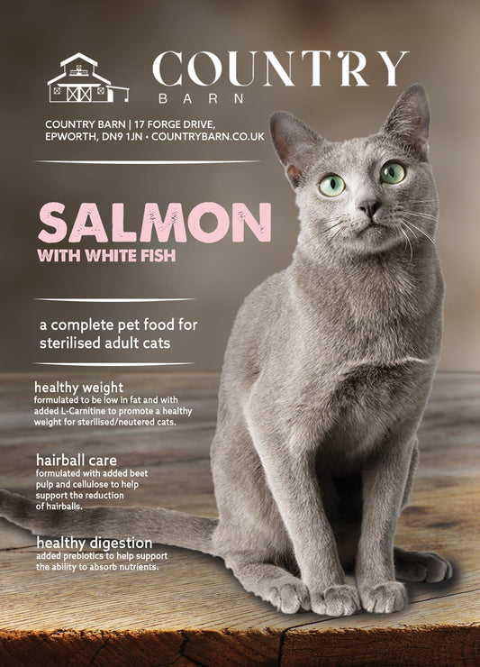 Grey cat with green eyes sitting on a wooden surface, next to "Salmon with White Fish" cat food text.