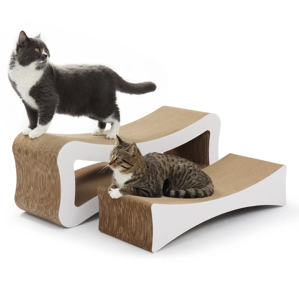 Two cats on an 86cm long, wave-design corrugated cardboard 2-in-1 scratcher lounge with white accents.