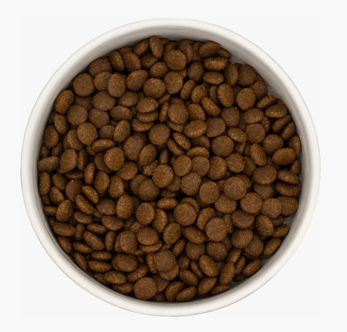 White bowl filled with small, round, dark brown turkey and chicken cat kibble.