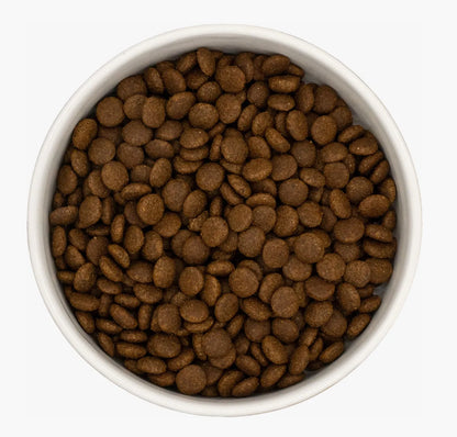 White bowl filled with small, round, dark brown turkey and chicken cat kibble.