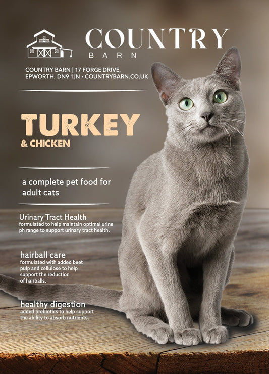 Grey cat with green eyes sitting on a wooden surface, next to text promoting "Turkey & Chicken" cat food.