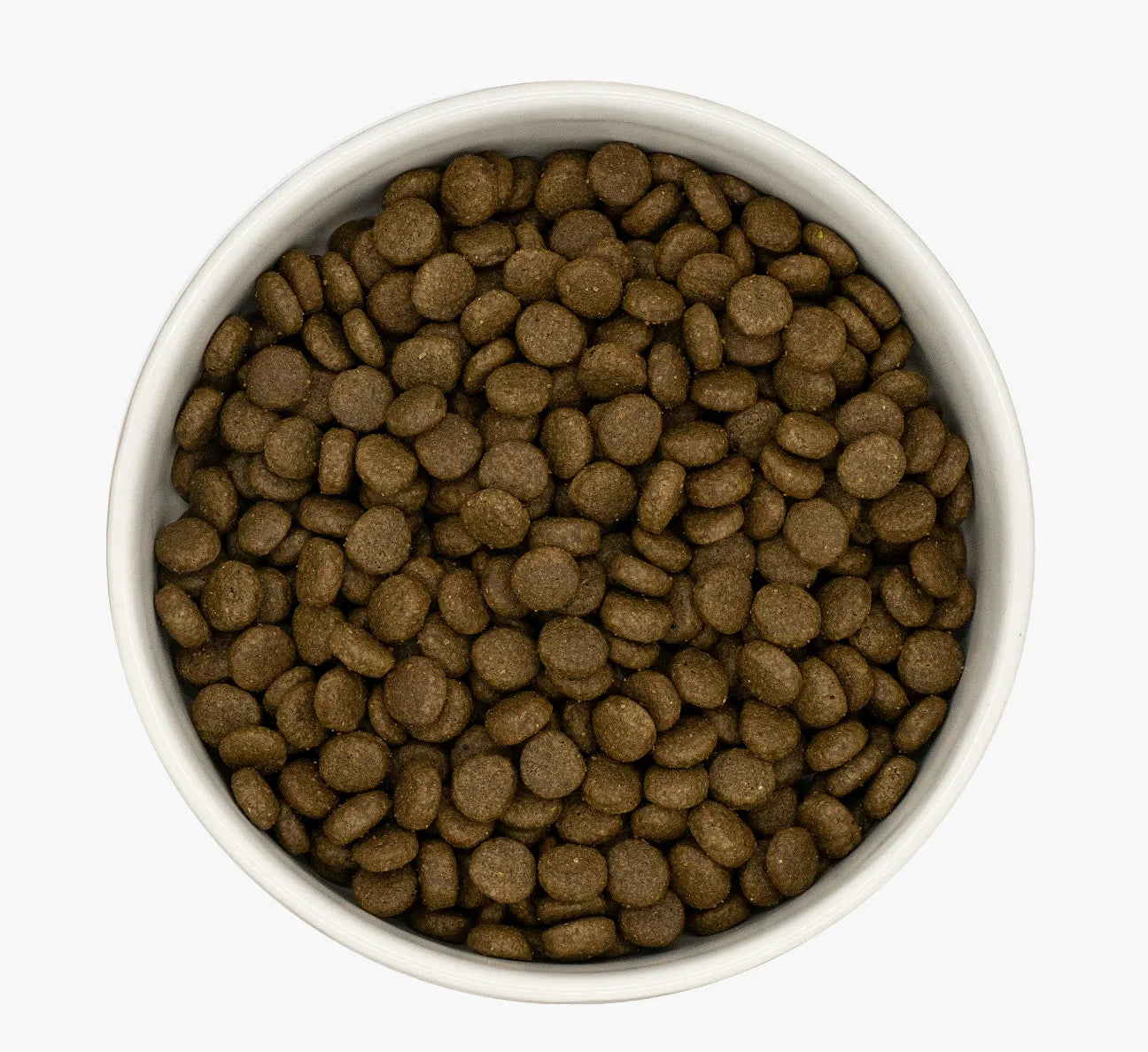 White ceramic bowl filled with dark brown, round cat kibble.