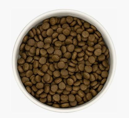 White ceramic bowl filled with dark brown, round cat kibble.