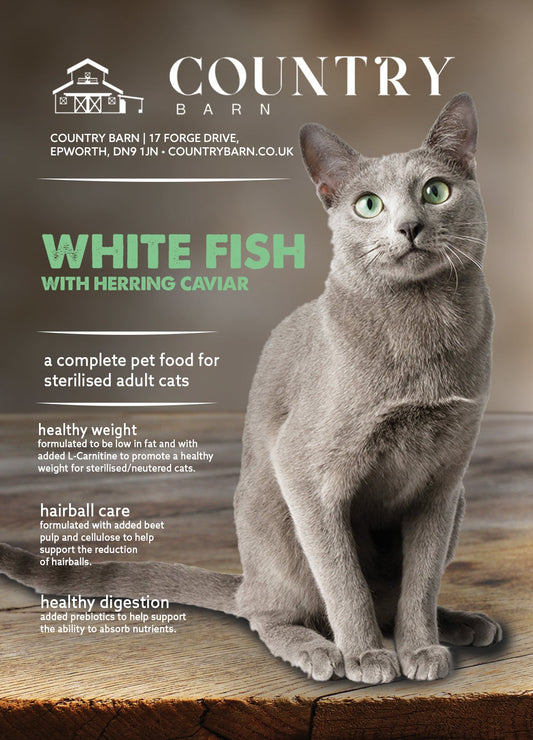 A sleek grey cat with green eyes sits on a wooden surface, advertising White Fish & Nordic Herring Caviar cat food.