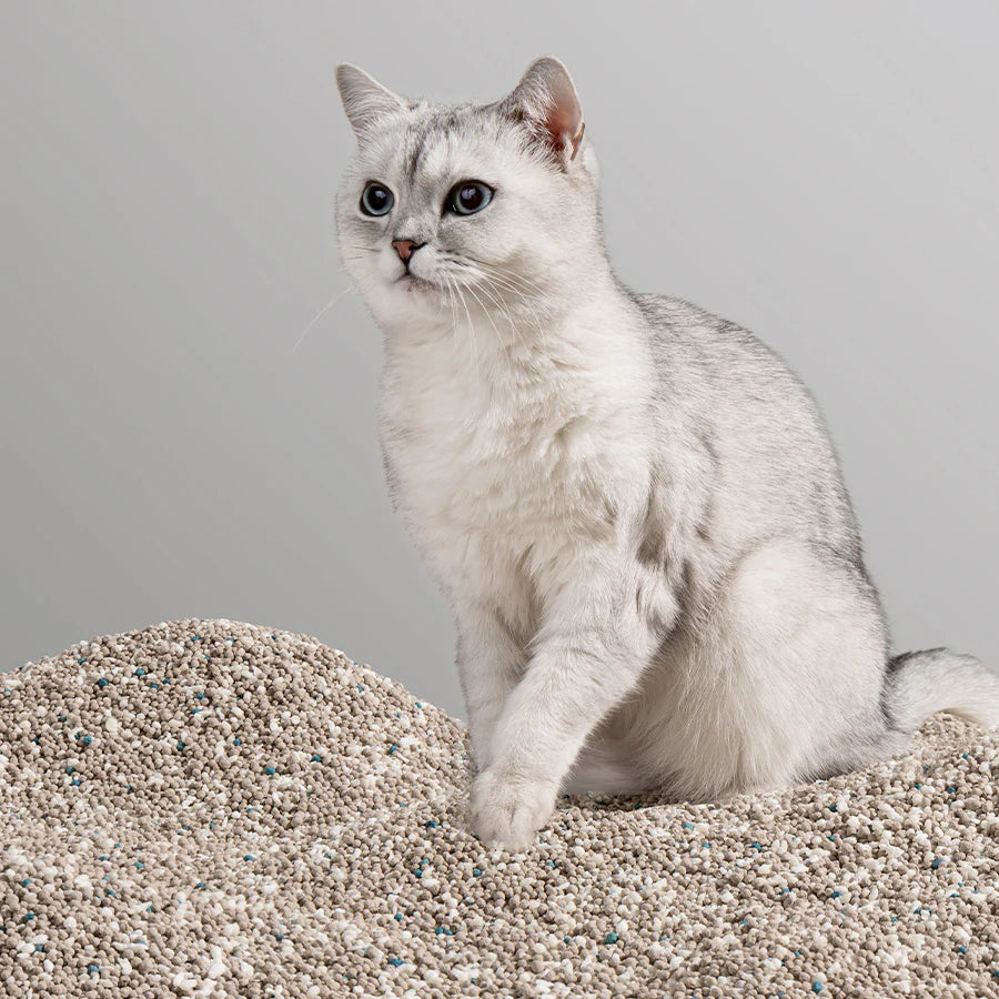 Xu Cuihua Cassava & Bentonite Cat Litter (Unscented)-Fussy Cat