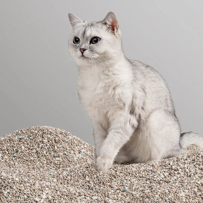 Xu Cuihua Cassava & Bentonite Cat Litter (Unscented)-Fussy Cat