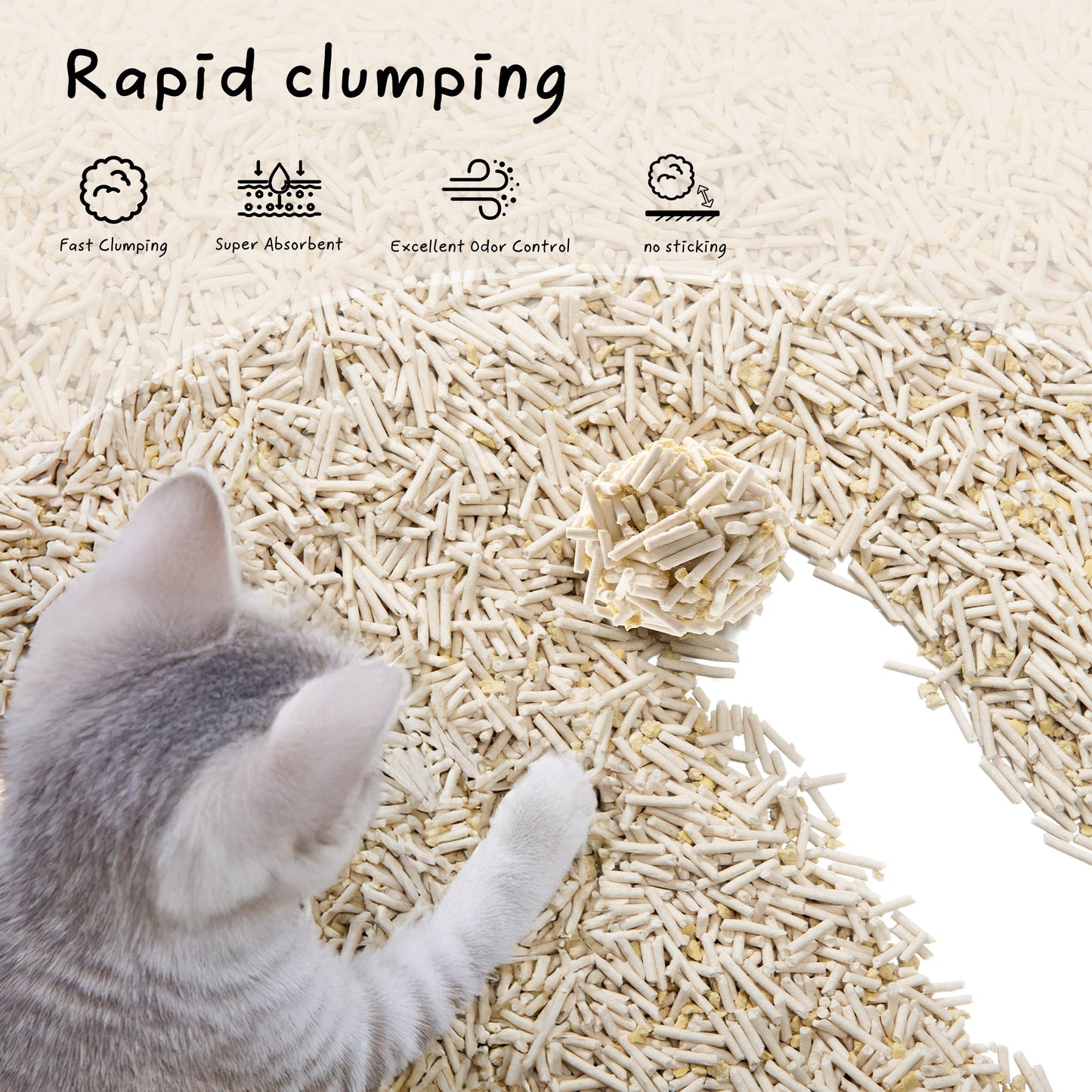 Cat playing with Cococat Tofu clumping cat litter on a white background