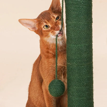 ZEZE Cactus Cat Scratching Post – 65cm Tall with Sisal Rope & Pom-Pom Toy-Fussy Cat