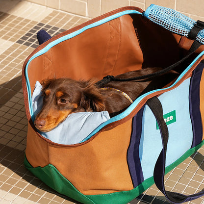 ZEZE brown and turquoise canvas pet carrier with a small dog resting inside on a light blue blanket.
