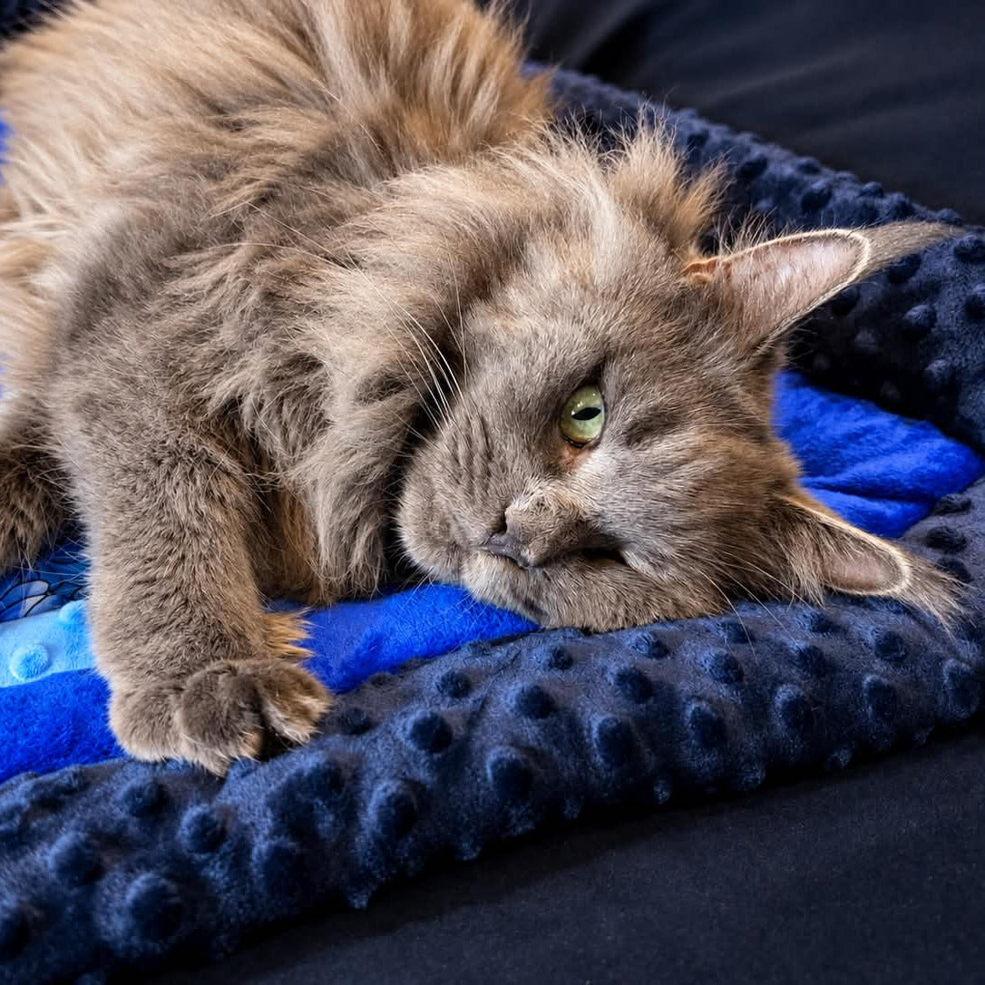 Luxury Plush Cat Blanket - Handmade, Soft & Cosy 50 × 70 cm