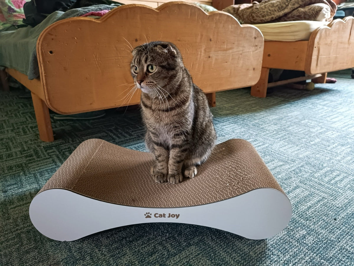 Snug – Compact Cardboard Cat Scratcher, Handmade in Britain