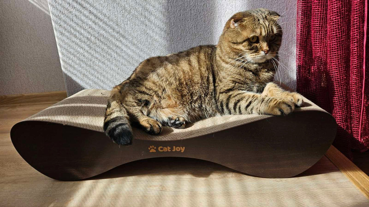 Lounge – Curved Cardboard Cat Scratcher & Lounger, Handmade in Britain