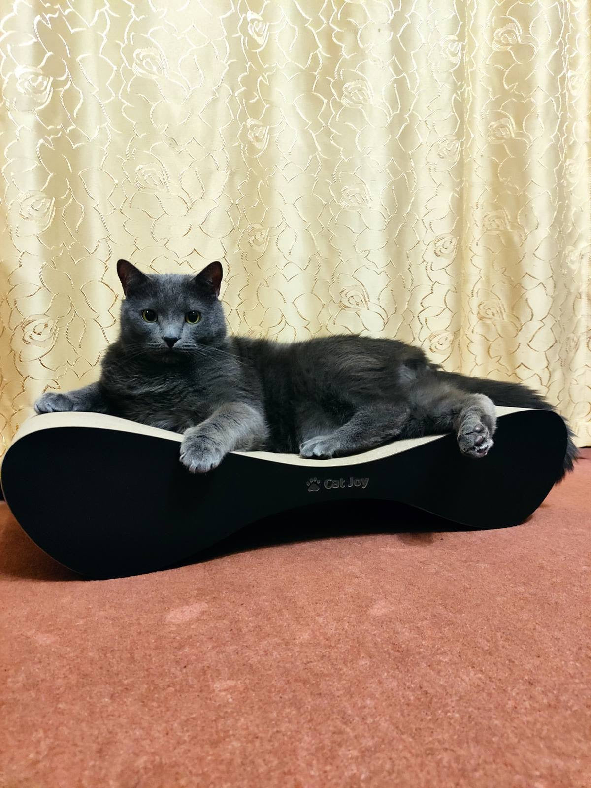 Lounge – Curved Cardboard Cat Scratcher & Lounger, Handmade in Britain