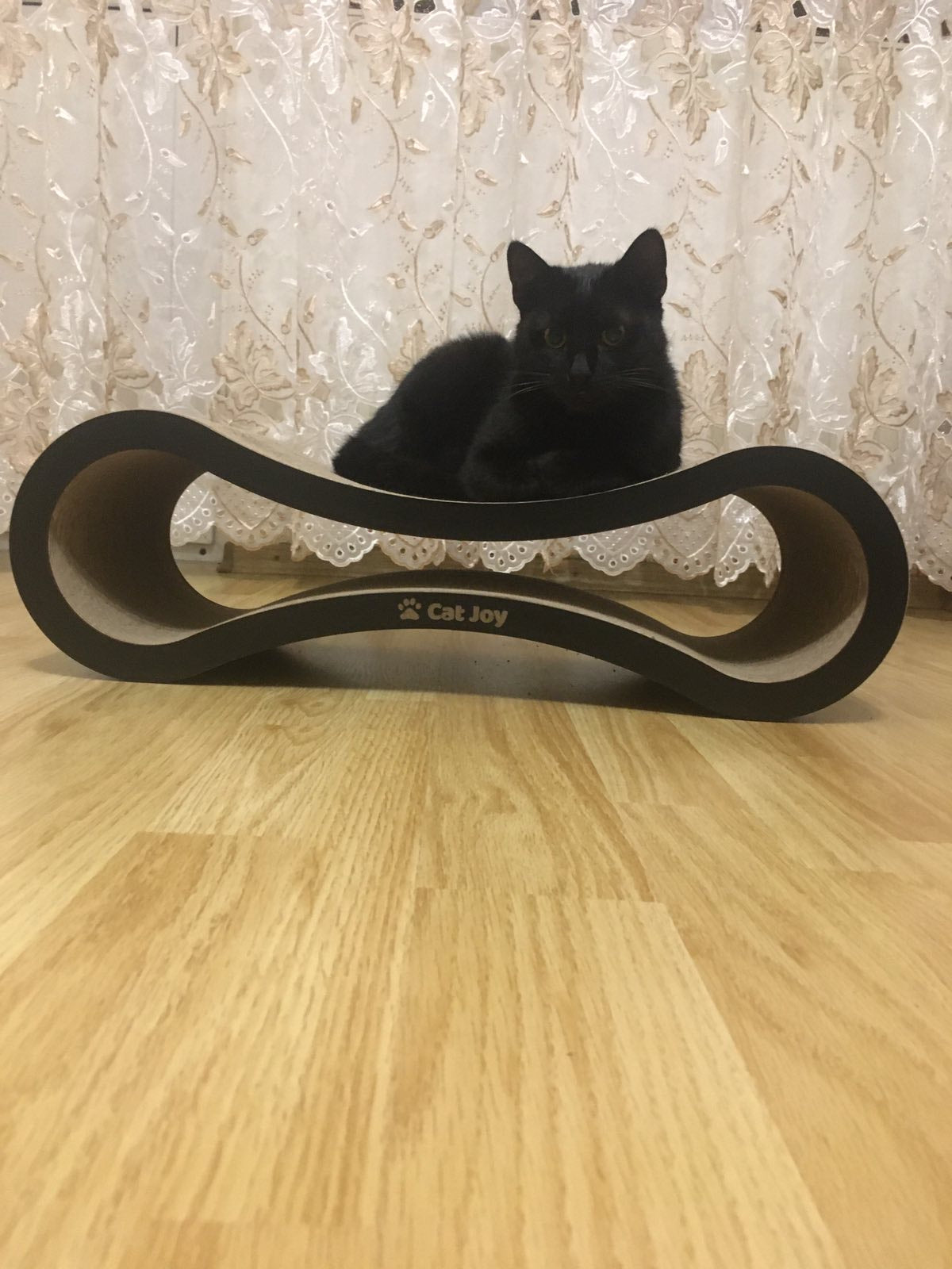 Pavilion – Cardboard Cat Scratcher Tunnel, Handmade in Britain