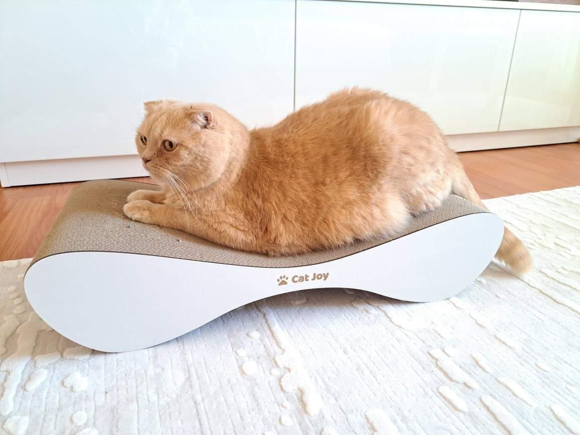 Lounge – Curved Cardboard Cat Scratcher & Lounger, Handmade in Britain