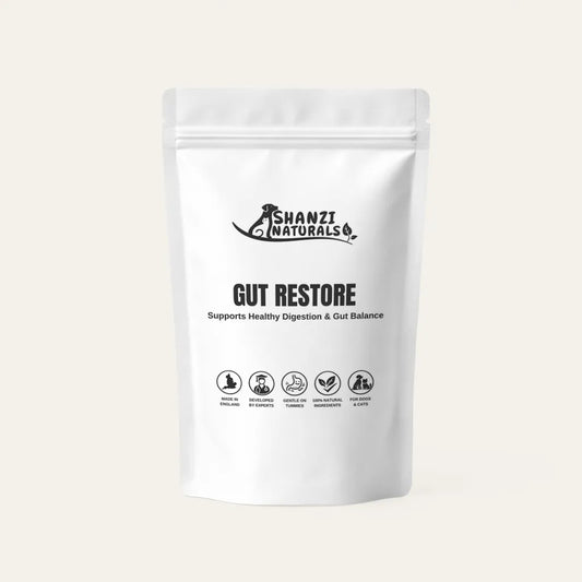 Gut Restore for Cats & Dogs – Support for Healthy Digestion & Gut Balance