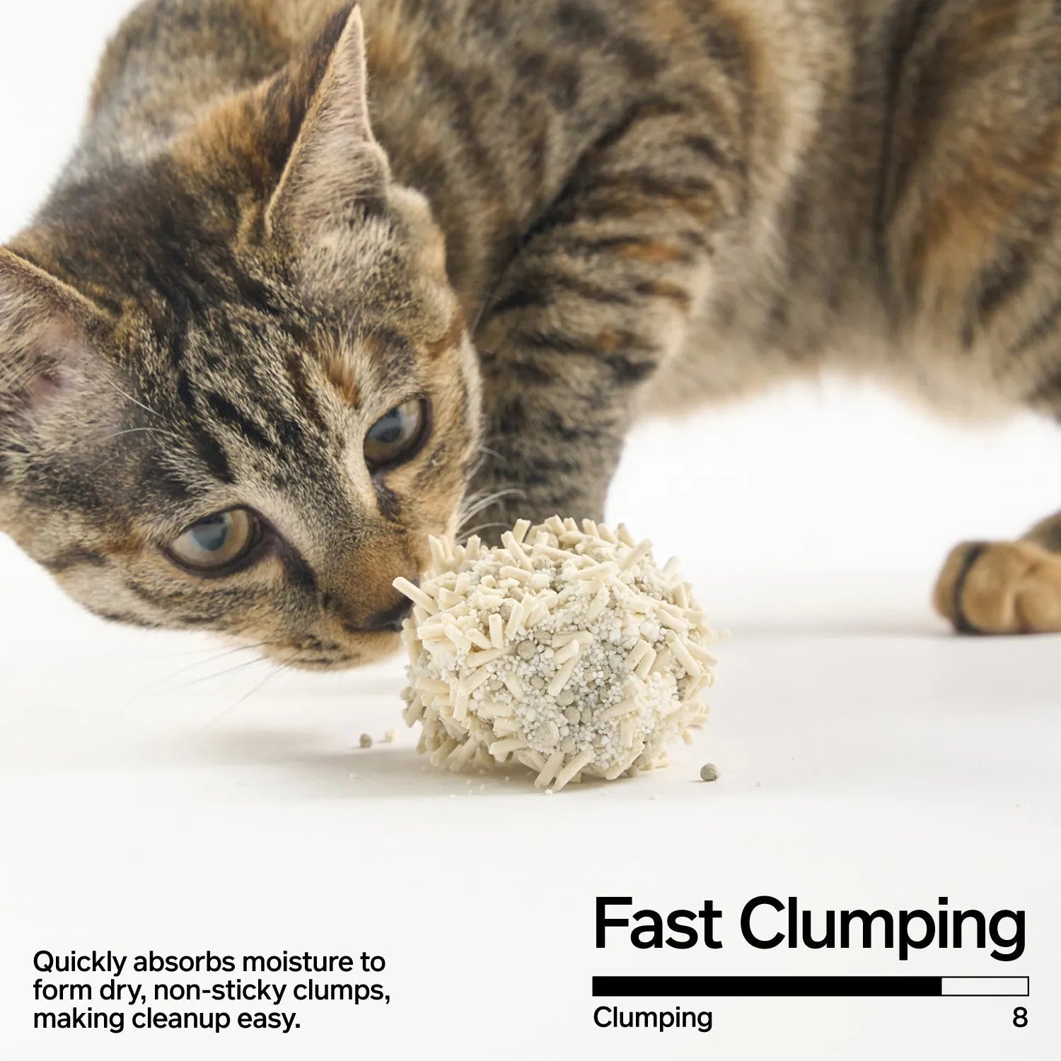 pidan Cassava & Tofu Cat Litter with Bentonite-Fussy Cat