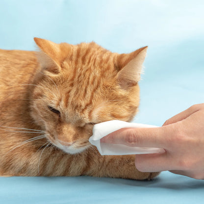 pidan Cleaning Wipes for Pets （ Fragrance Free）-Fussy Cat