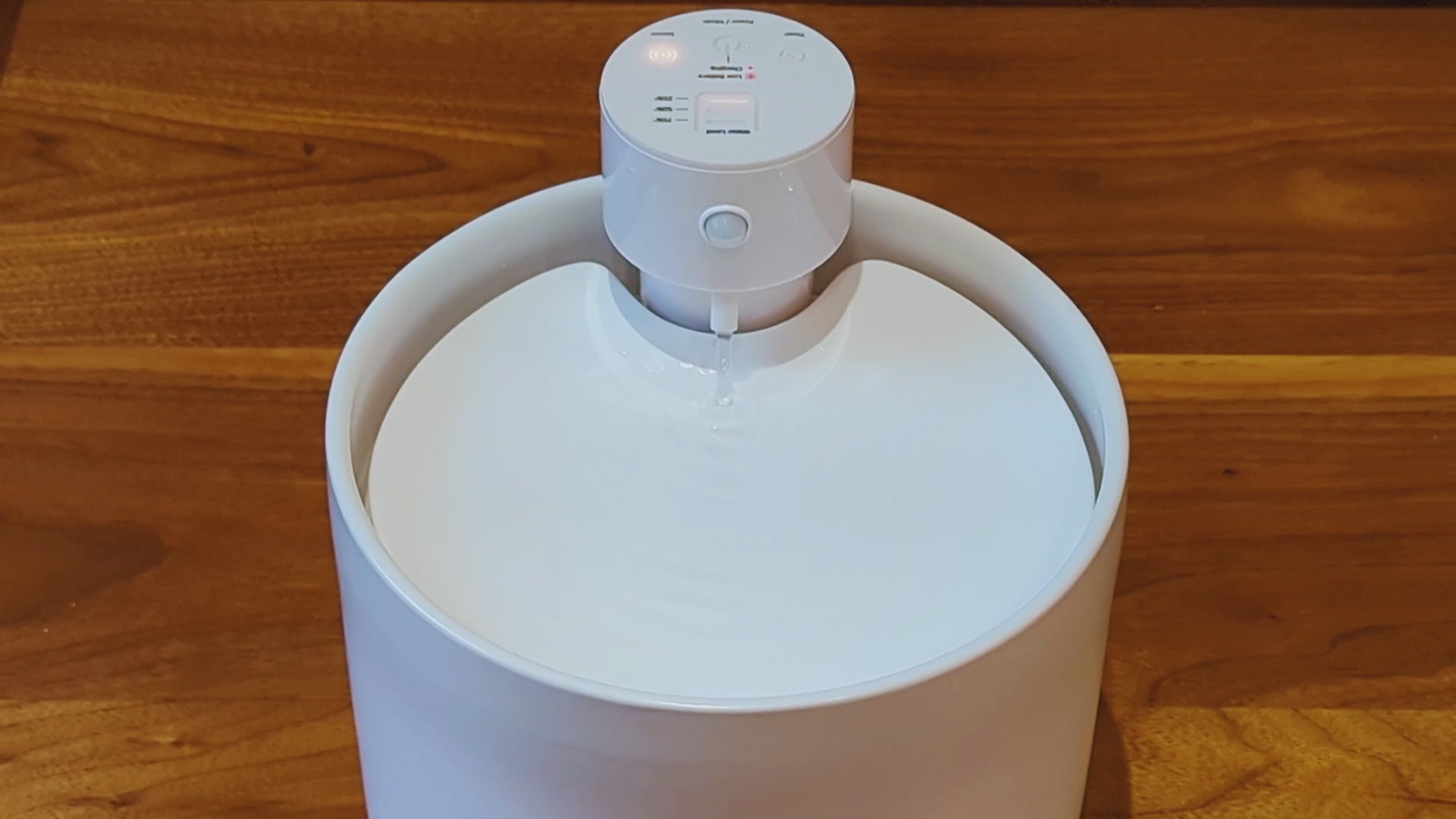 Cleaning The Fussy Cat water fountain, wireless and made of ceramic, perfect for Bengal and Maine Coon cats