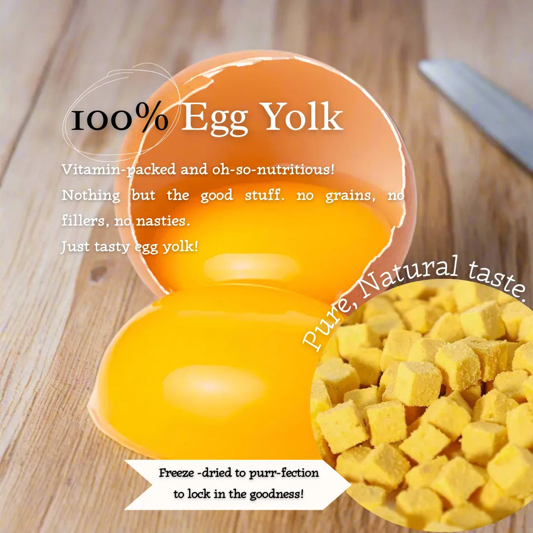 Yolky Drops - 100% Freeze-Dried Quail Egg Yolk Treats Gourmet Meal Enhancement for Pets-Fussy Cat