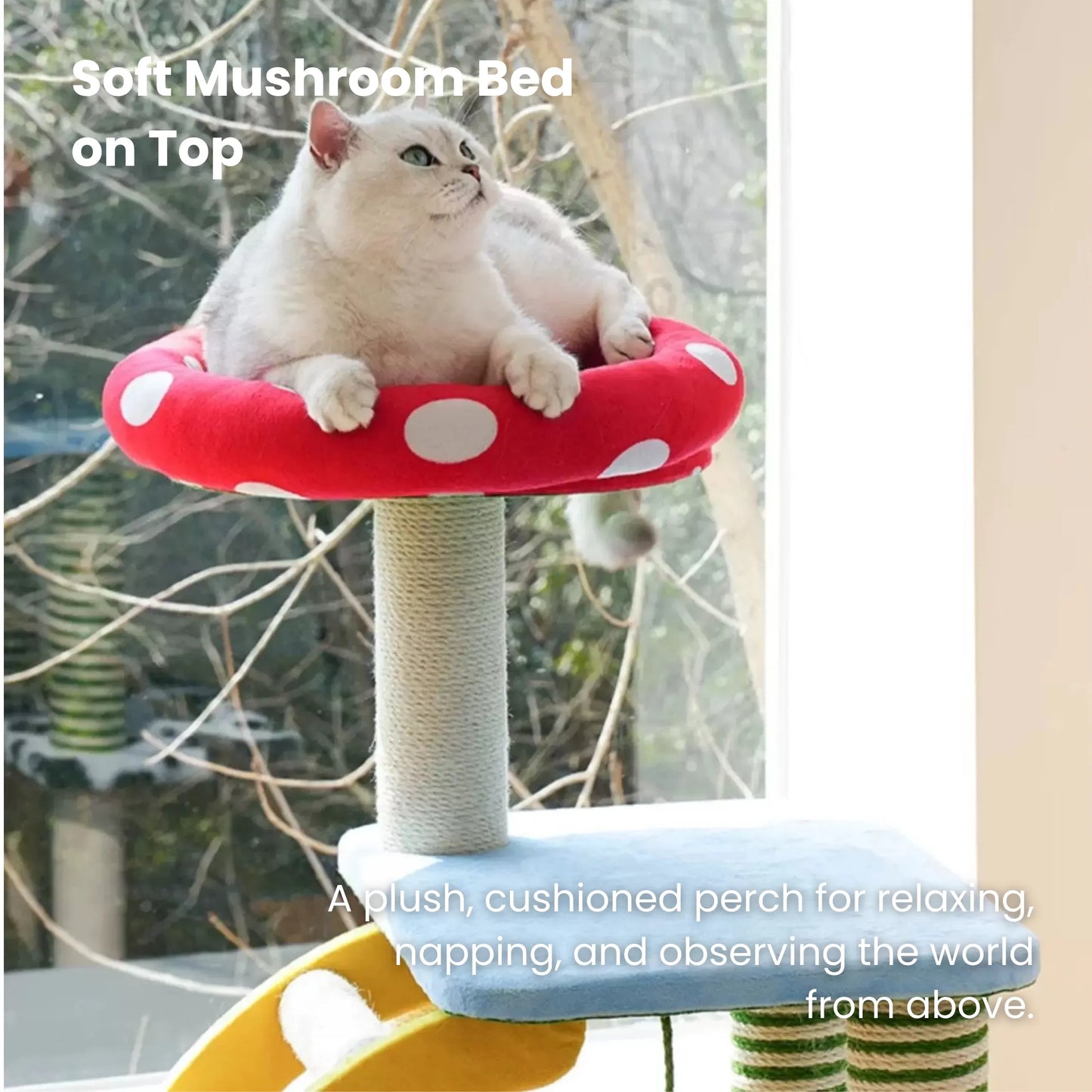 zeze 3-in-1 Multi-Function Cat Tree — Bed, Scratcher & Multi-Level Activity Tower-Fussy Cat