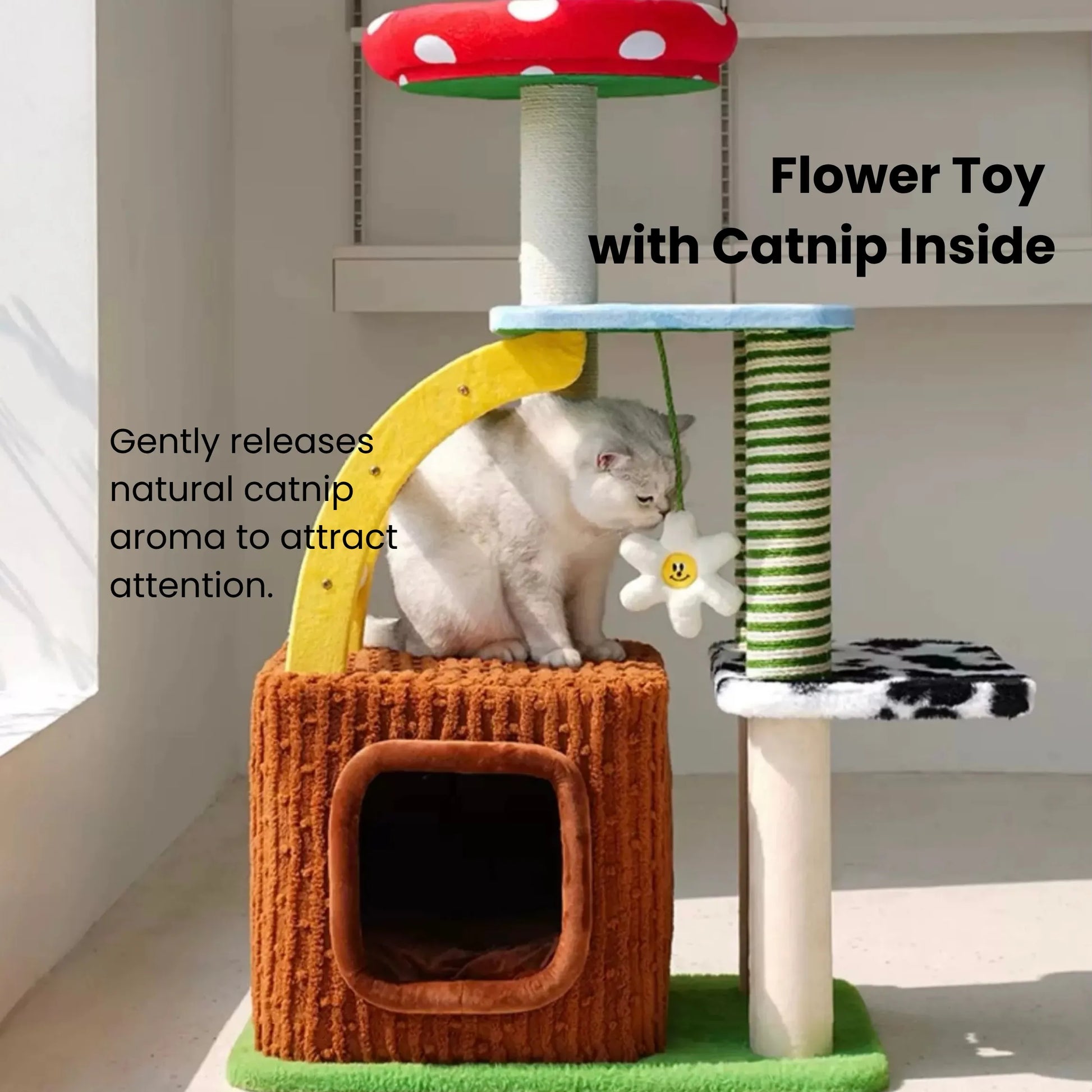 zeze 3-in-1 Multi-Function Cat Tree — Bed, Scratcher & Multi-Level Activity Tower-Fussy Cat