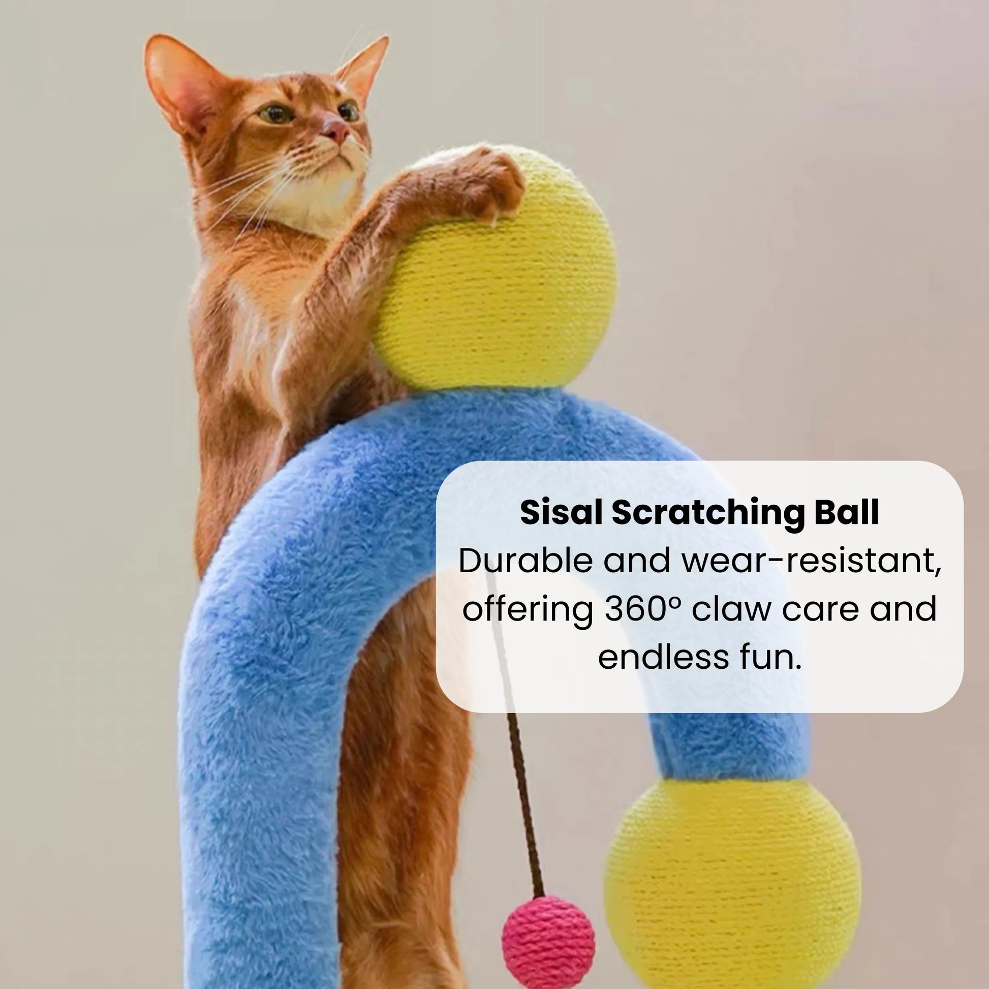 zeze Cat Arch Tree with Balls and Grooming Pole-Fussy Cat