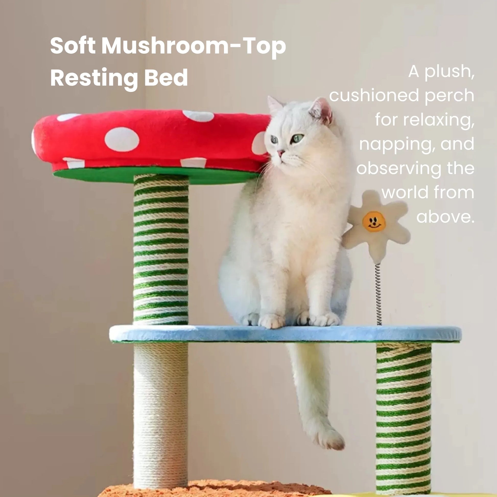 zeze Deluxe 3-in-1 Multi-Function Cat Tree — Bed, Scratcher & Multi-Level Activity Tower-Fussy Cat