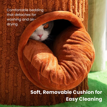 zeze Deluxe 3-in-1 Multi-Function Cat Tree — Bed, Scratcher & Multi-Level Activity Tower-Fussy Cat