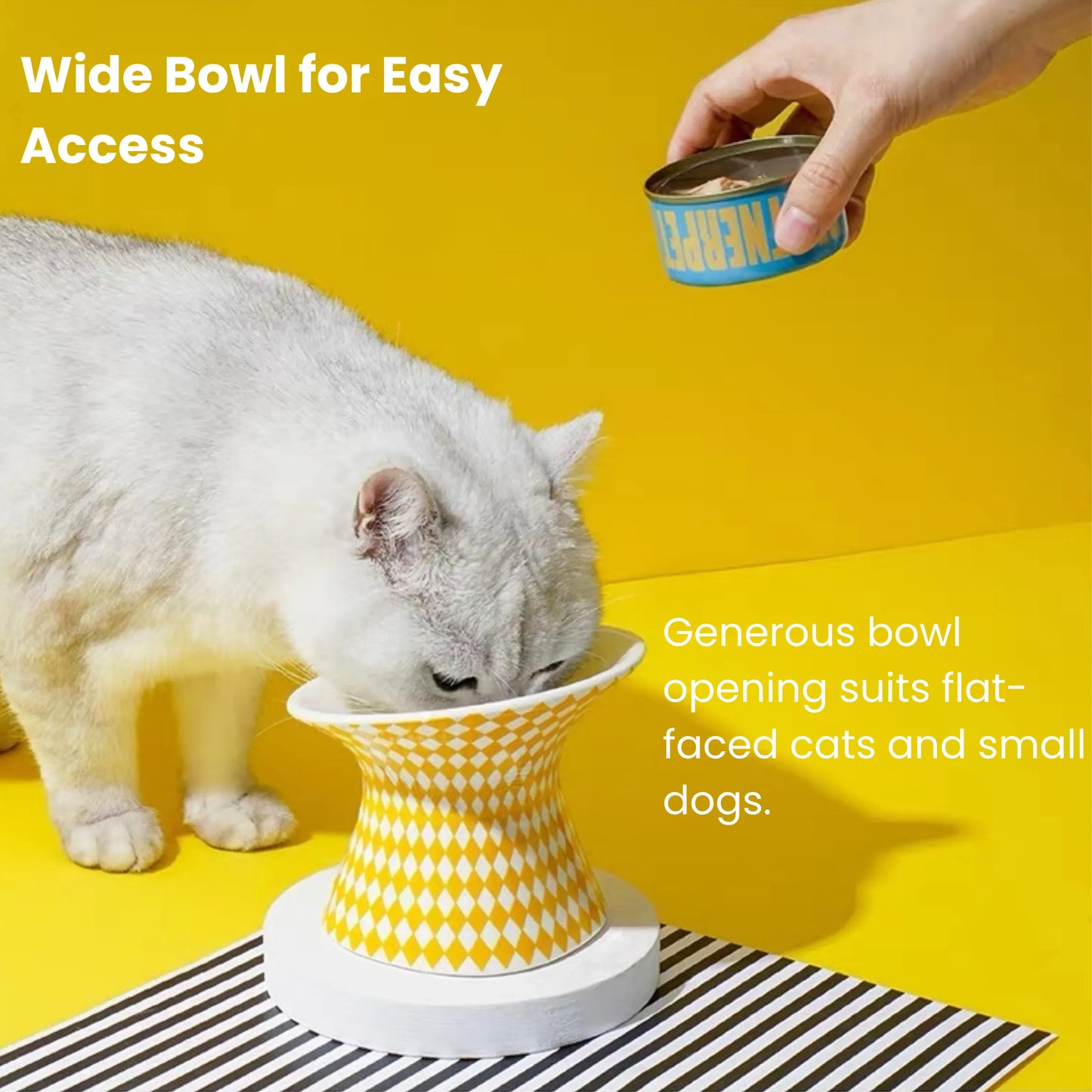 zeze Pop Art Ceramic Pet Bowl, 2 sizes for water, dry or wet catfood-Fussy Cat