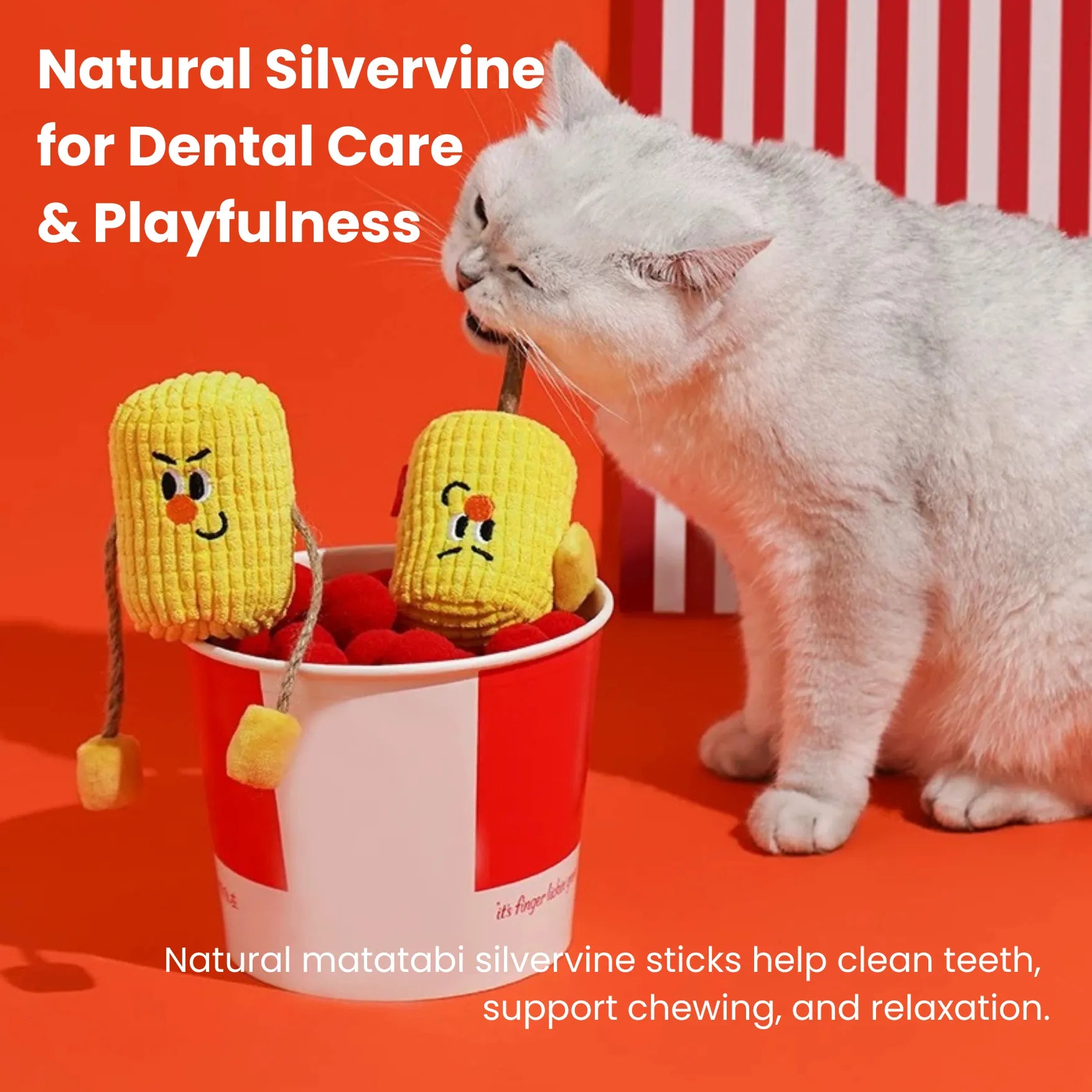 zeze Silvervine Matatabi Wood Pet Toy With Catnip-Fussy Cat