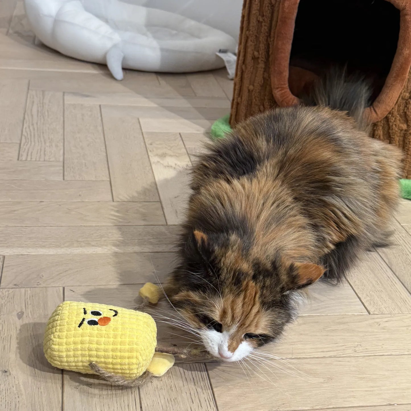zeze Silvervine Matatabi Wood Pet Toy With Catnip-Fussy Cat